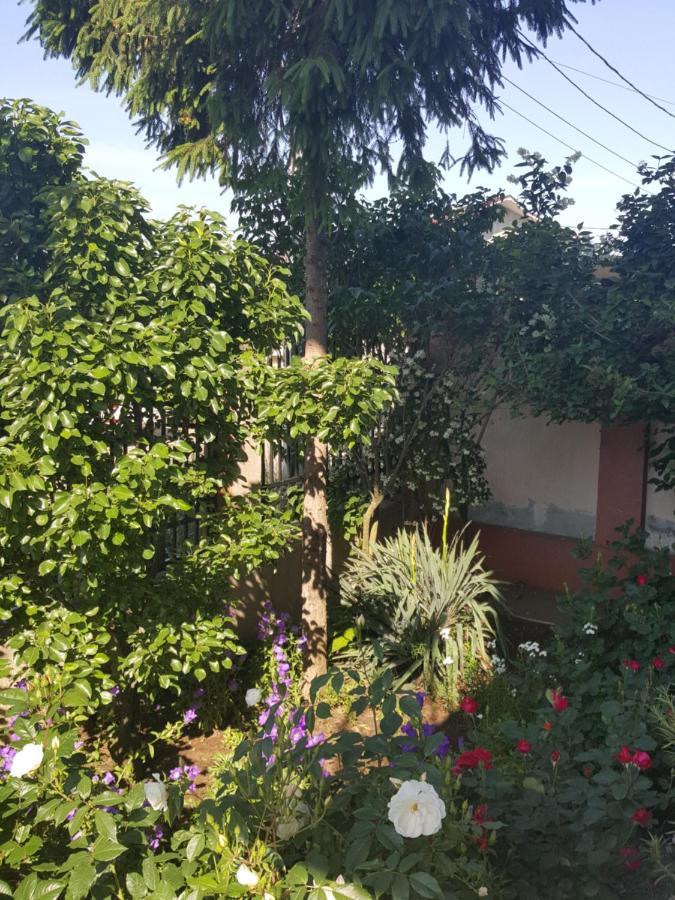 Hotel Vila Liz Eforie Nord Exterior foto