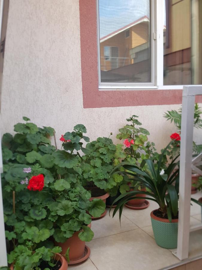 Hotel Vila Liz Eforie Nord Exterior foto